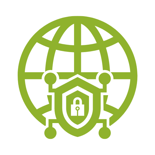 Network Security Icon